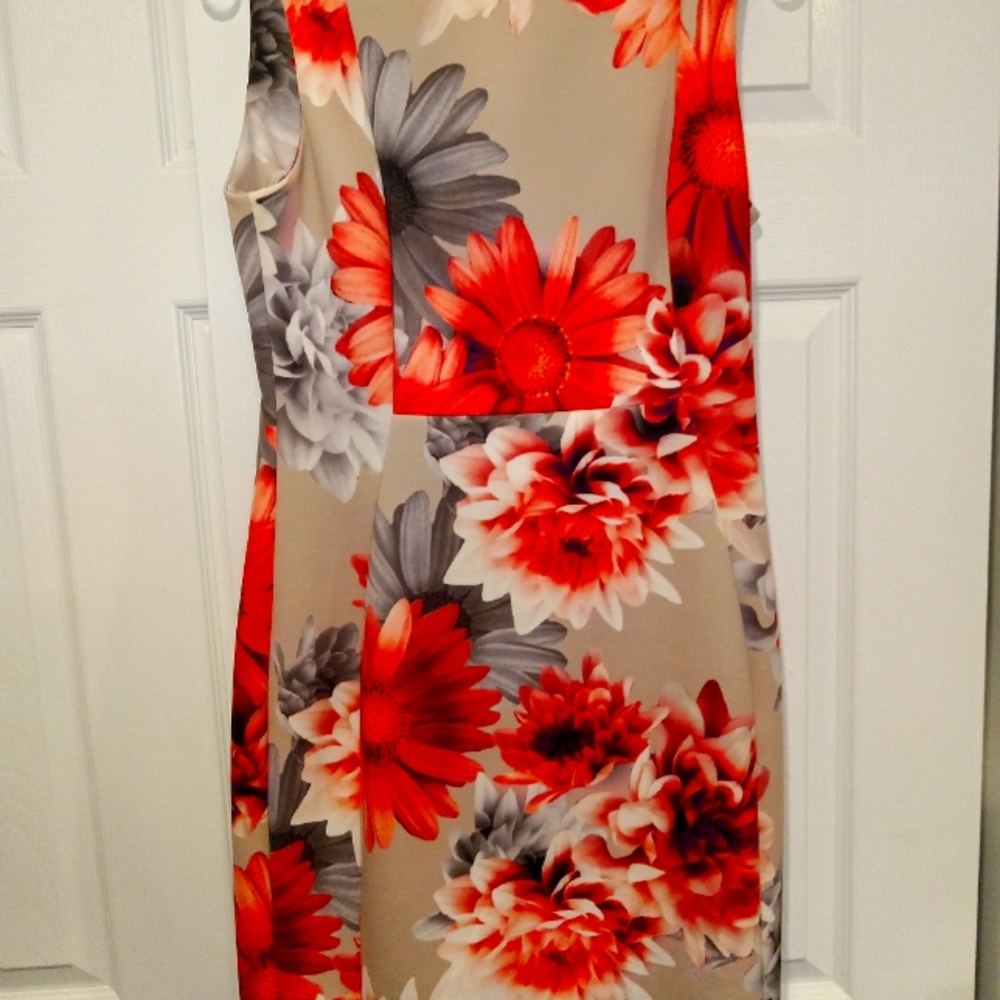 1 floral Easter dress Calvin Klein. Size10.